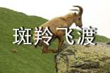 《斑羚飞渡》说课稿