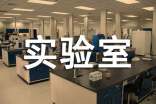 化学实验室工作总结
