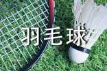 羽毛球教学总结