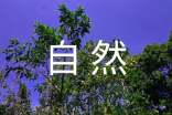 自然人借款合同(合集15篇)
